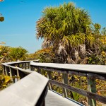 The boardwalk near Barefoot Beach has lots of zigs, zags, and gopher tortoises.