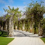 A beautiful path ath the Naples Botanical Garden.