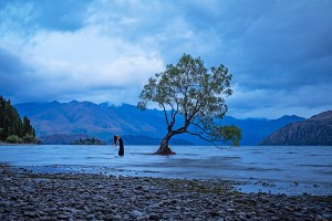 Wanaka