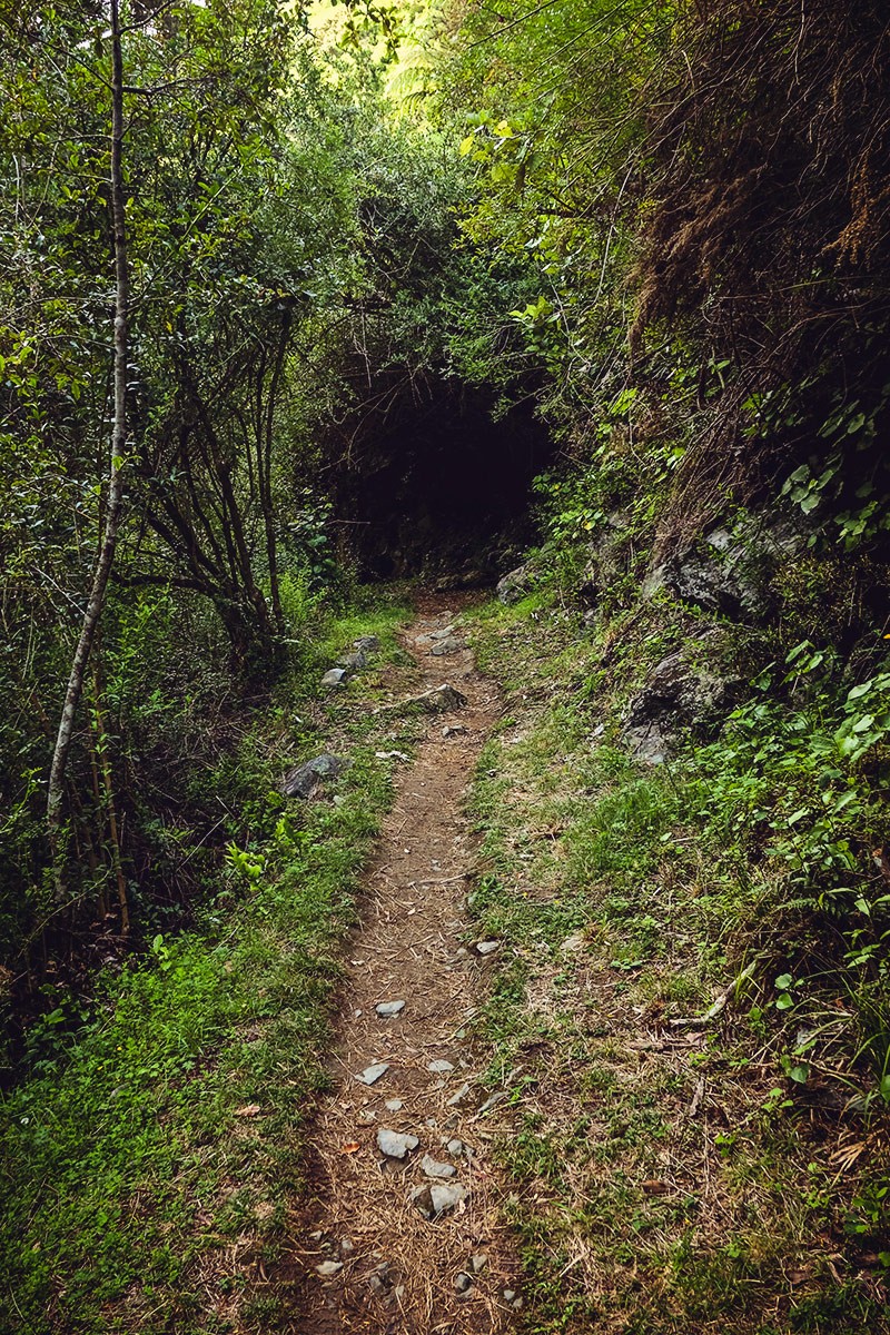 Rawhiti Cave
