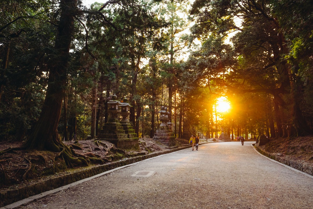 Nara Walkway in Park