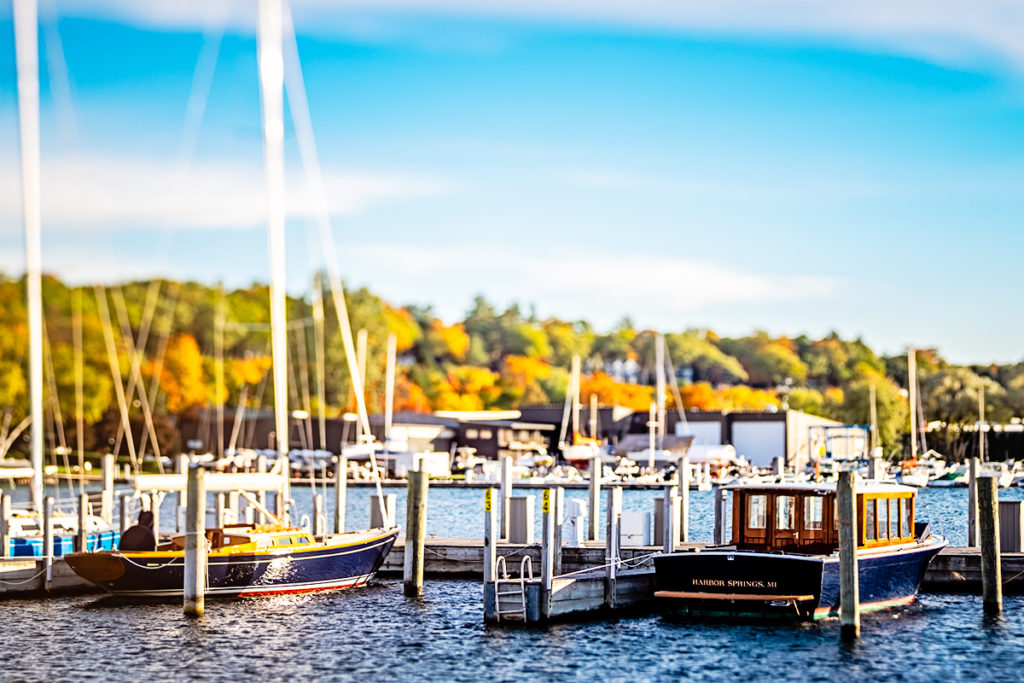 Boats in the harbor with fall colors.