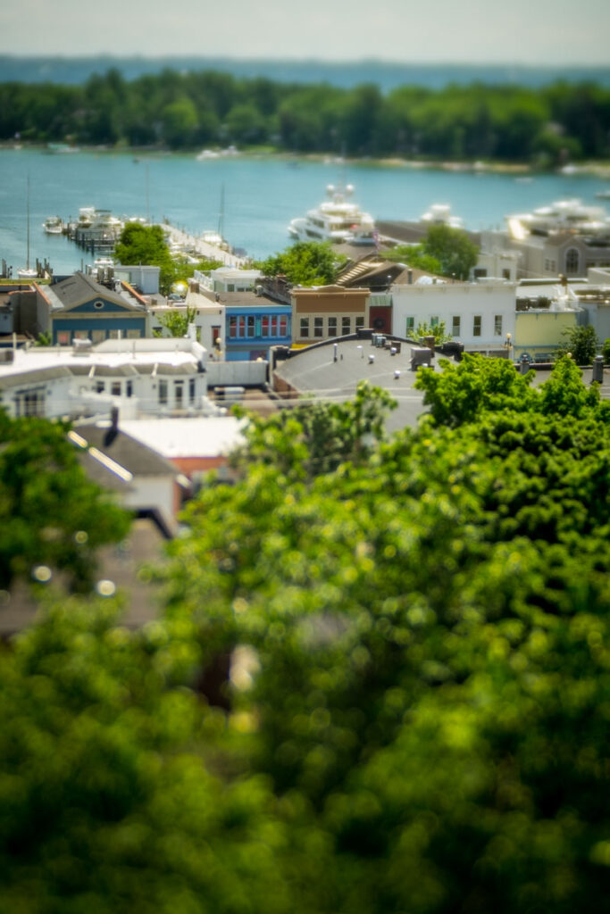 Harbor Springs from Bluff